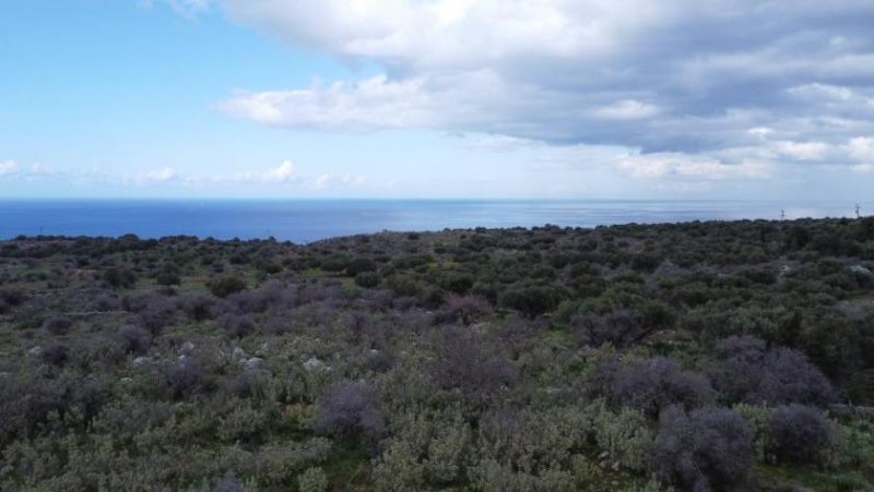 Kokkino Chorio Kreta, Kokkino Chorio: Grundstück in ruhiger Lage mit Meerblick zu verkaufen Grundstück kaufen